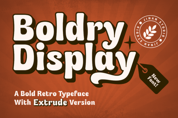 Boldry Display: The Retro Typeface for Digital Impact