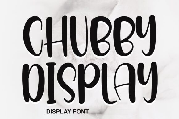 Chubby Display: A Bold Script Font for Editorial Impact